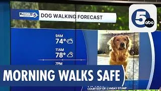 Thumbnail: Warm and Humid Sunday in Cleveland: Take Early Walks Before Storms