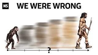 Thumbnail: The Line Between Human and Ape Doesn't Exist