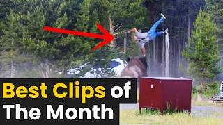 Thumbnail: Top 20 Viral Clips of The Month