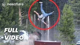 Thumbnail: Bison Attacks Tourist At Yellowstone  - FULL VIDEO