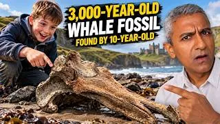 Thumbnail: 10-Year-Old Boy Makes Incredible Ancient Whale Discovery on Northern Ireland Beach