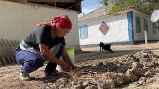 Thumbnail: How a woman lives in a remote village in Kazakhstan! Cooking Manti with Pumpkin
