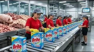 Thumbnail: Inside the Factory: You Won’t Believe How Brite Surf is Made from Animal Bones  (Full Process)