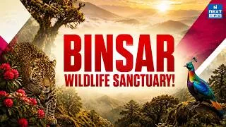 Thumbnail: Tiger Spotted at 8,000 Feet! Binsar Wildlife Sanctuary EXPLAINED | UPSC | NEXT IAS