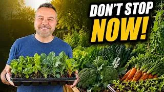 Thumbnail: Your Garden Isn’t Done! What to Plant in September