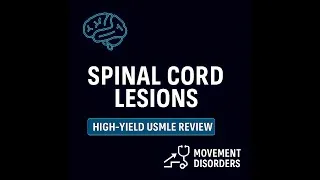 Thumbnail: Spinal Cord Lesions Made Simple | Step 2 & Step 3 High-Yield Review