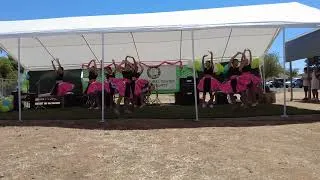 Thumbnail: Ntxhais Hnub Qub - Peb Family Fun Day 2025 - Hmong Cultural Center of Butte County