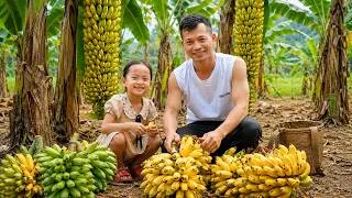Thumbnail: A bumper harvest of bananas and cassava - memorable Mid-Autumn Festival for Ngô Tuệ in her hometown