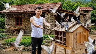 Thumbnail: Ngo Tue personally builds a wooden pigeon coop, expanding the farm in the heart of the forest.