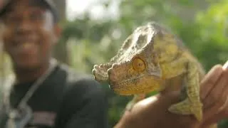 Thumbnail: Importance of Classifying Organisms