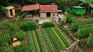 Thumbnail: Full video: 90 Days Leaving a Luxurious Life to Return to the Forest | From Ruins to a Livable Home
