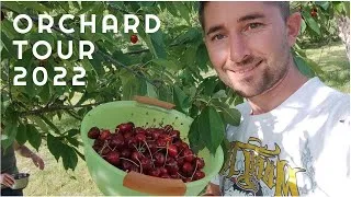Thumbnail: Orchard walkabout 2022 at our Bulgarian Mountain House