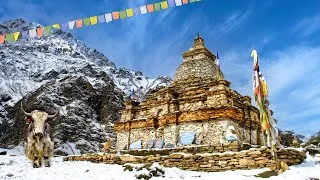 Thumbnail: Hidden Tibetan Villages of Nepal – Nar Phu Valley Trek