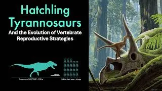 Thumbnail: Hatchling T. rex and the Evolution of Vertebrate Parental Care