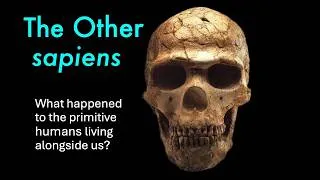 Thumbnail: The Other Sapiens— what happened to the primitive humans who lived alongside us?
