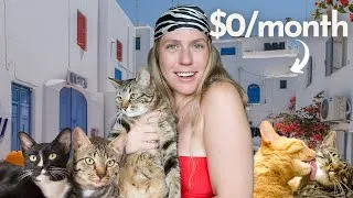 Thumbnail: Living RENT-FREE in Greece 🇬🇷 (housesitting 101)
