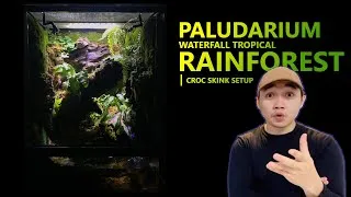 Thumbnail: PALUDARIUM WATERFALL TROPICAL RAINFOREST | Croc Skink Setup
