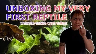 Thumbnail: UNBOXING MY VERY FIRST REPTILE | CRESTED GECKO CARE GUIDE
