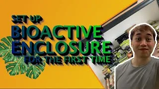 Thumbnail: SET UP BIOACTIVE ENCLOSURE FOR THE FIRST TIME!!!
