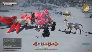 Thumbnail: Final Fantasy XIV strange lvl 1 bug
