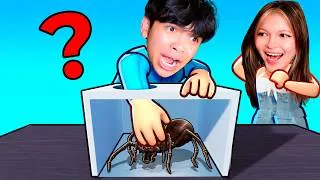 Thumbnail: Roblox GUESS THE ANIMAL!