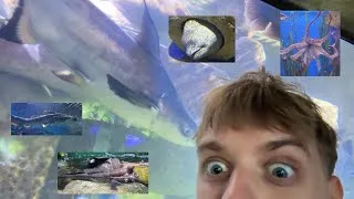 Thumbnail: Malta’s fishes and getting a good run in.