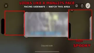 Thumbnail:  👻 The Face in the Rat Shed… Until the Rat Turned Around 😂🐀