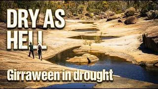 Thumbnail: The Junction at Girraween shouldn’t look like this