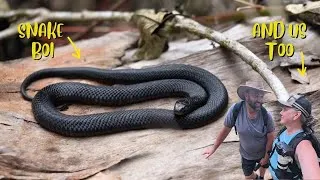 Thumbnail: O’Reilly’s Rainforest Retreat | Exploring Lamington National Park and Its Ancient Forests
