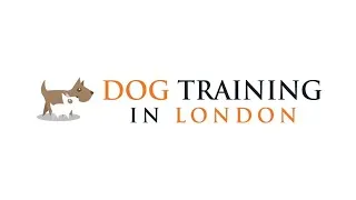 Thumbnail: Dog Training in London - Behavioural and Puppy Consultations to help address any problem behaviour