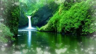 Thumbnail: NATURE MELODY