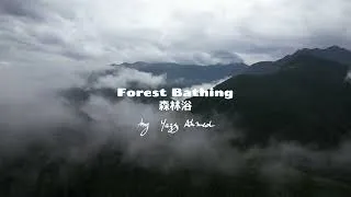Thumbnail: Yazz Ahmed - Forest Bathing 森林浴 (Official Visualiser)
