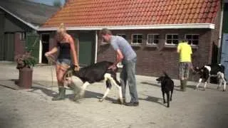 Thumbnail: Zorgboerderijen van het Kampereiland