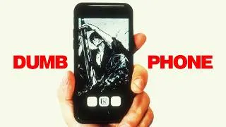 Thumbnail: I gave my iPhone a lobotomy. Here's my setup 6 months later.
