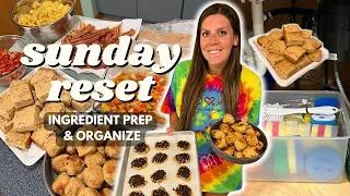 Thumbnail: Sunday RESET | Ingredient/Meal Prep, Organize | Staying on Track | Meatballs, Chocolate Banana Bites