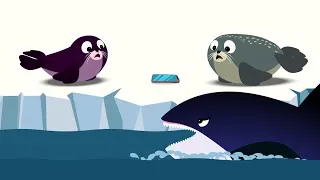 Thumbnail: What Happens When WILD Animals Find a LOST Phone