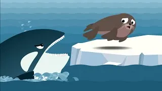Thumbnail: The Seal vs Orca (killer whale) vs Polar Bear. Who would win? Work Together