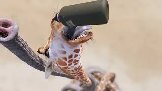 Thumbnail: Giraffe vs. Elephant: Wild Battle for Water in the Heat! 🦒🐘