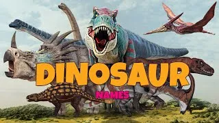 Thumbnail: DinoMite! Essential Dinosaur Names for Kids to Know
