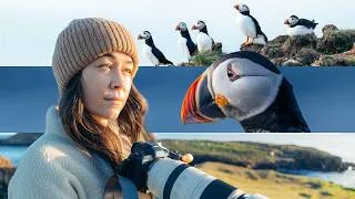 Thumbnail: Chasing Puffins Across Newfoundland, Canada