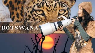 Thumbnail: This Is What a Safari in Botswana Is Really Like | Okavango Delta & Savuti