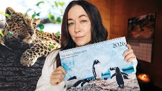 Thumbnail: My 12 BEST Wildlife Photos & the Stories Behind Them (2026 Calendar)