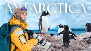 Thumbnail: My Voyage to Antarctica: Epic Wildlife Encounters on the 7th Continent 🇦🇶