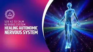 Thumbnail: Healing Frequency For Autonomic Nervous System | 528 Hz To Calm Nervous System | Soundbath