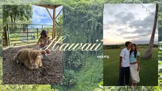 Thumbnail: hawaii with bae | cow cuddling, road to hana, yummy foods, beach
