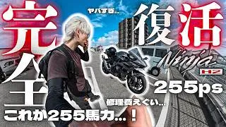 Thumbnail: やっと俺のNinja H2が帰ってきました。Episode 143/東京/Japan/Kawasaki Ninja H2【4K】