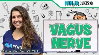 Thumbnail: Vagus Nerve