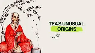 Thumbnail: What is the Indian Legend Regarding the Discovery of Tea?