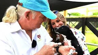 Thumbnail: Big Dog Ranch Rescue Trailer