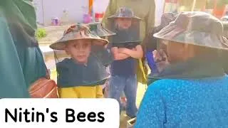 Thumbnail: Kids and Nitin's bees